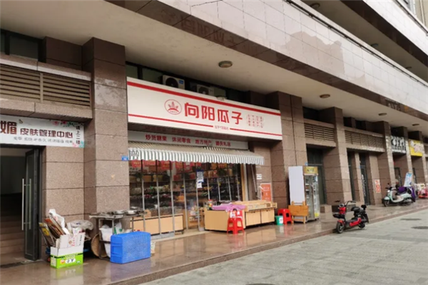 向阳瓜子店